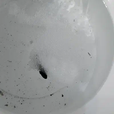 ماهی فایتر|ماهی|نیشابور, هفده شهریور|دیوار