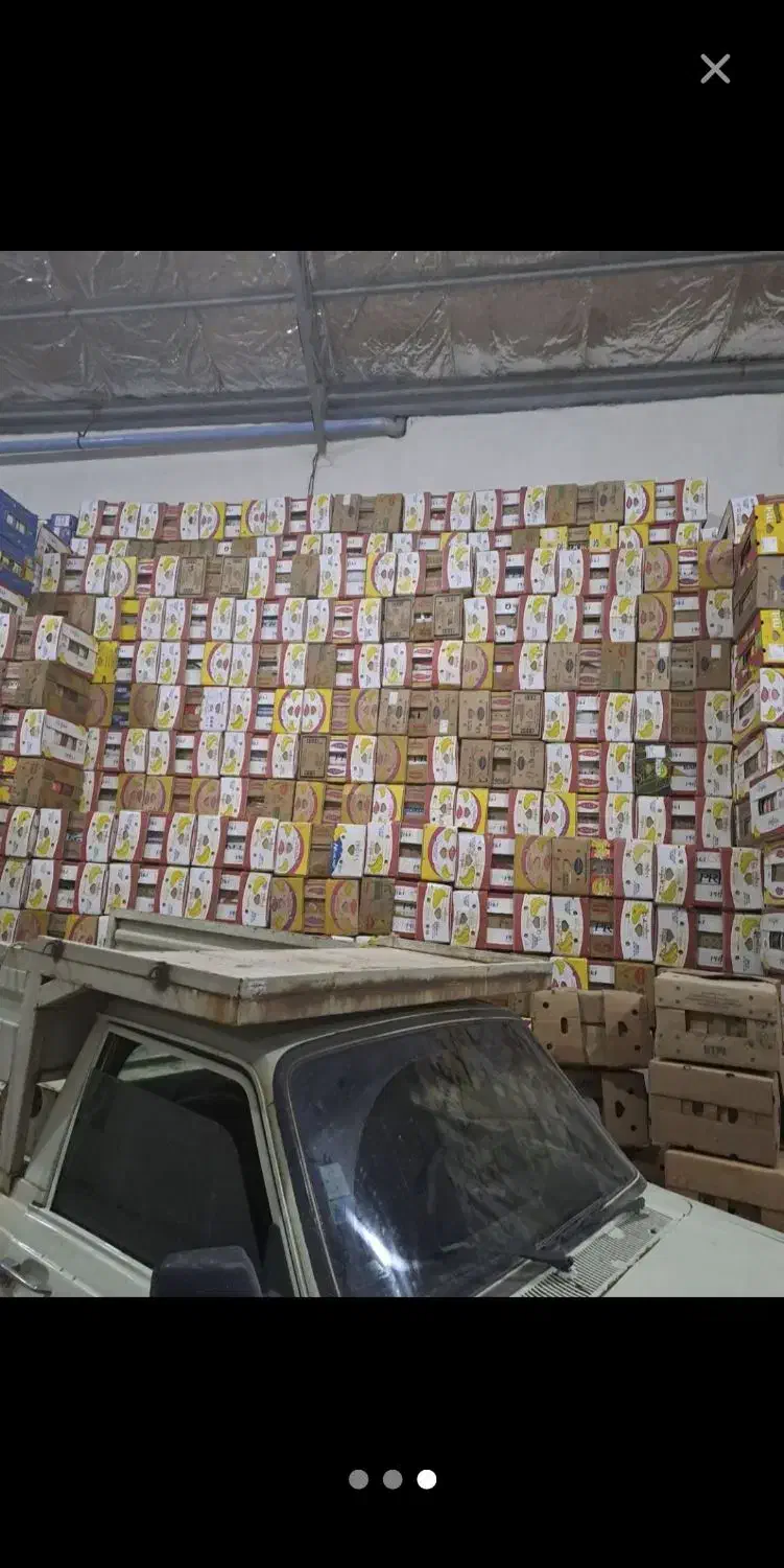 سبدوکارتن موز  دراسرع وقت|عمدهفروشی|مشهد, شهرک صنعتی توس|دیوار