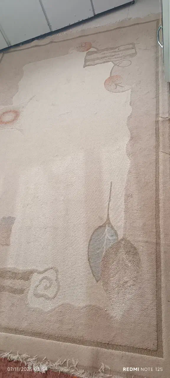 فرش ۲ در۳سالم سالم|فعالیت داوطلبانه|اصفهان, شهرک مهدیه|دیوار