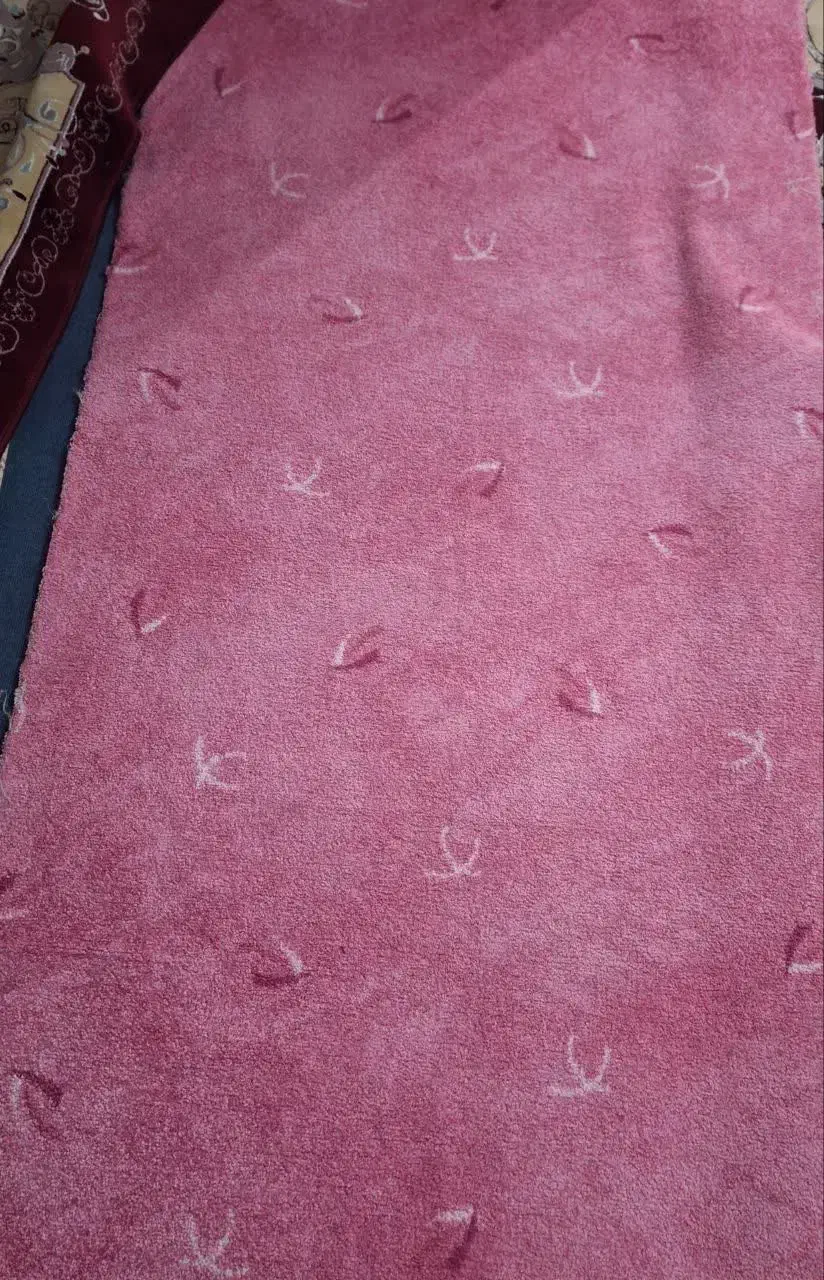 فرش 6 متری تمیز وسالم|گلیم، جاجیم، گبه|ری, فیروزآبادی|دیوار