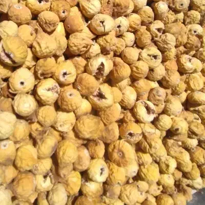 انجیر خر ی. د و فروش|خوردنی و آشامیدنی|شیراز, احمدآباد|دیوار