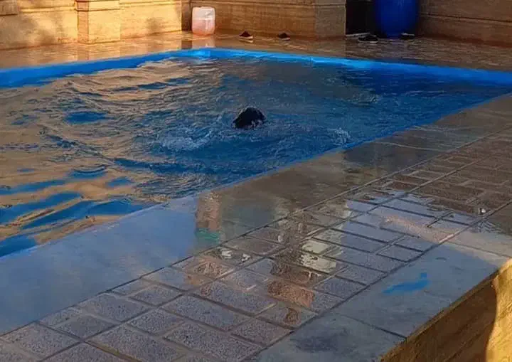 باغویلا کلاسیک /آببرقگازشهری/ کردان سهیلیه 550M|فروش خانه و ویلا|چهارباغ, |دیوار