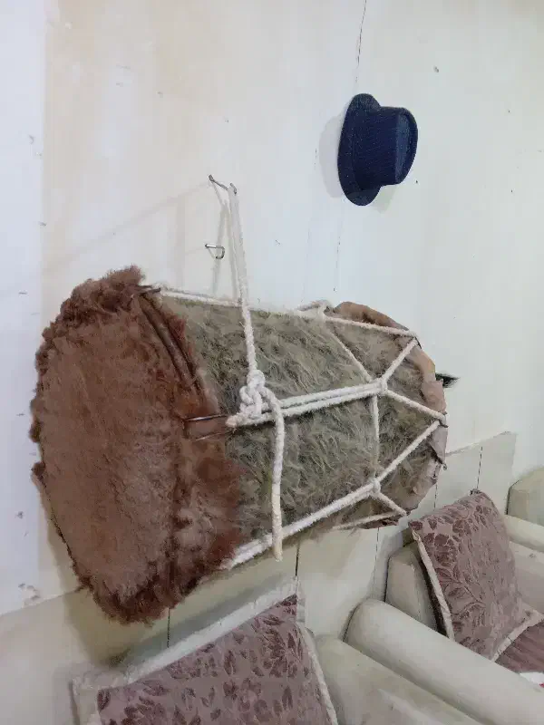 دمام|درام و پرکاشن|مشهد, بهار|دیوار