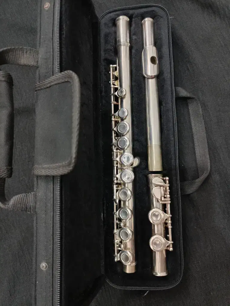 فلوت  فرانسوی اصل قدیمی|سازهای بادی|گرگان, |دیوار