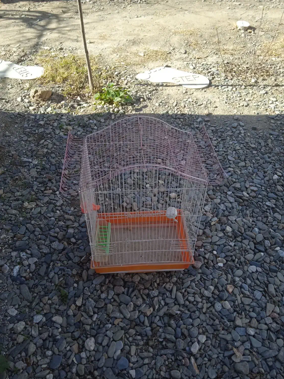 قفس پرنده|لوازم جانبی حیوانات|نیشابور, امام خمینی|دیوار