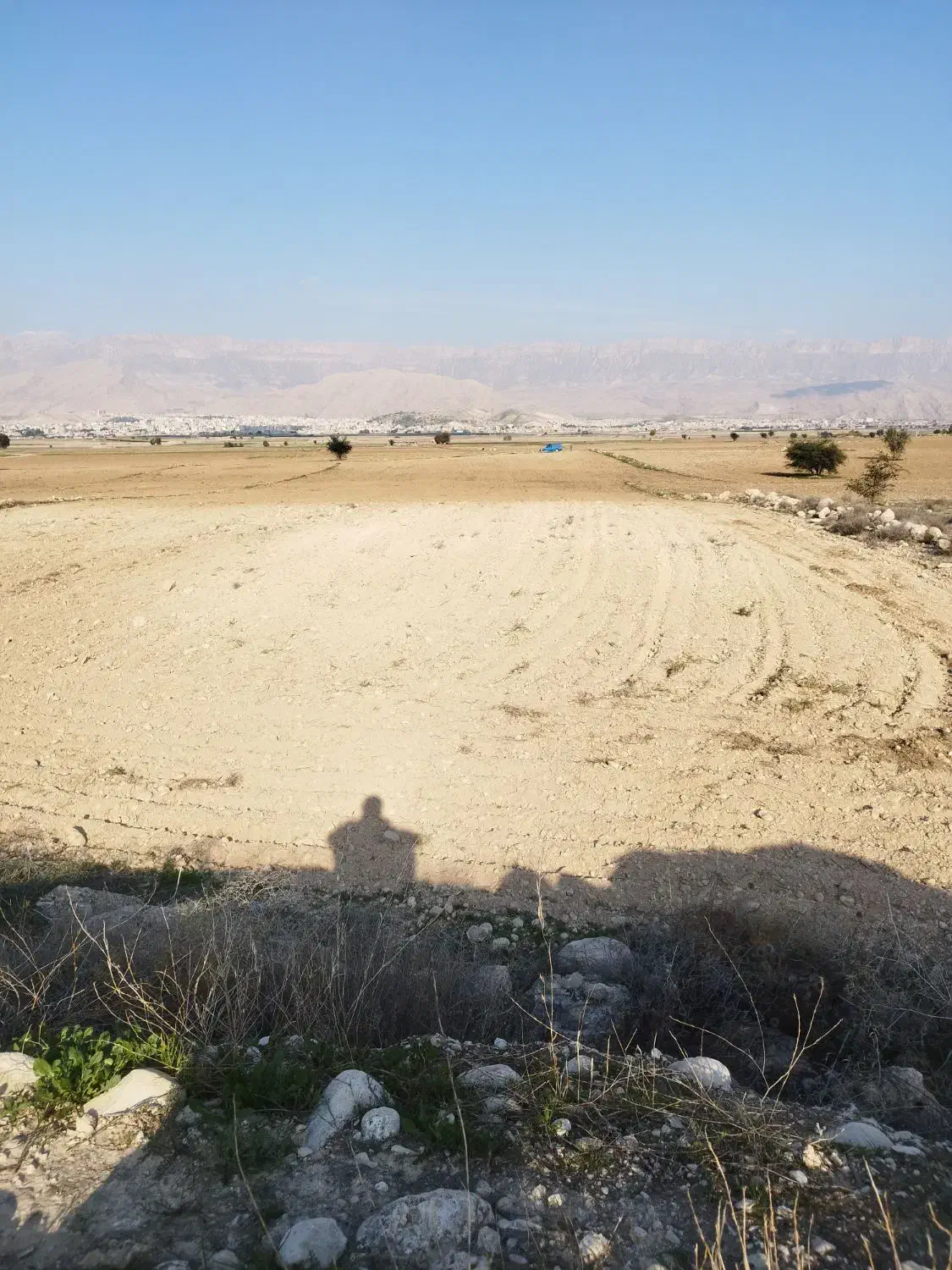 زمین کشاورزی کشت دیم|فروش دفتر صنعتی، کشاورزی، تجاری|کازرون, |دیوار