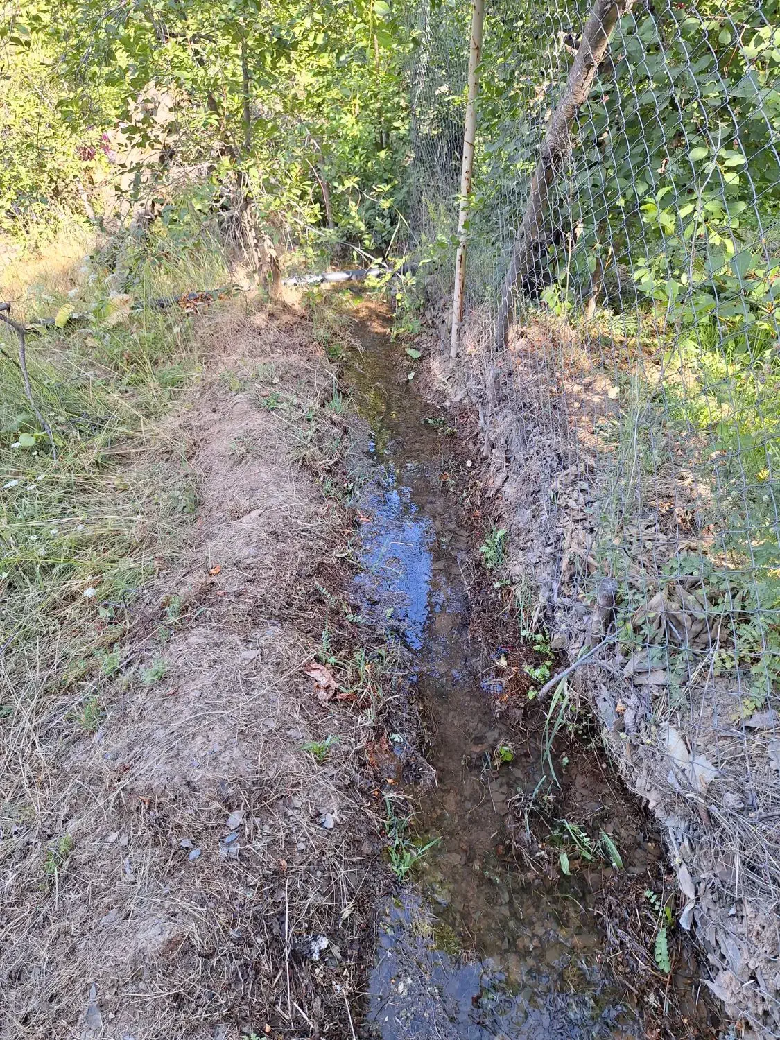 زمین - باغ|فروش زمین و ملک کلنگی|گلمکان, |دیوار