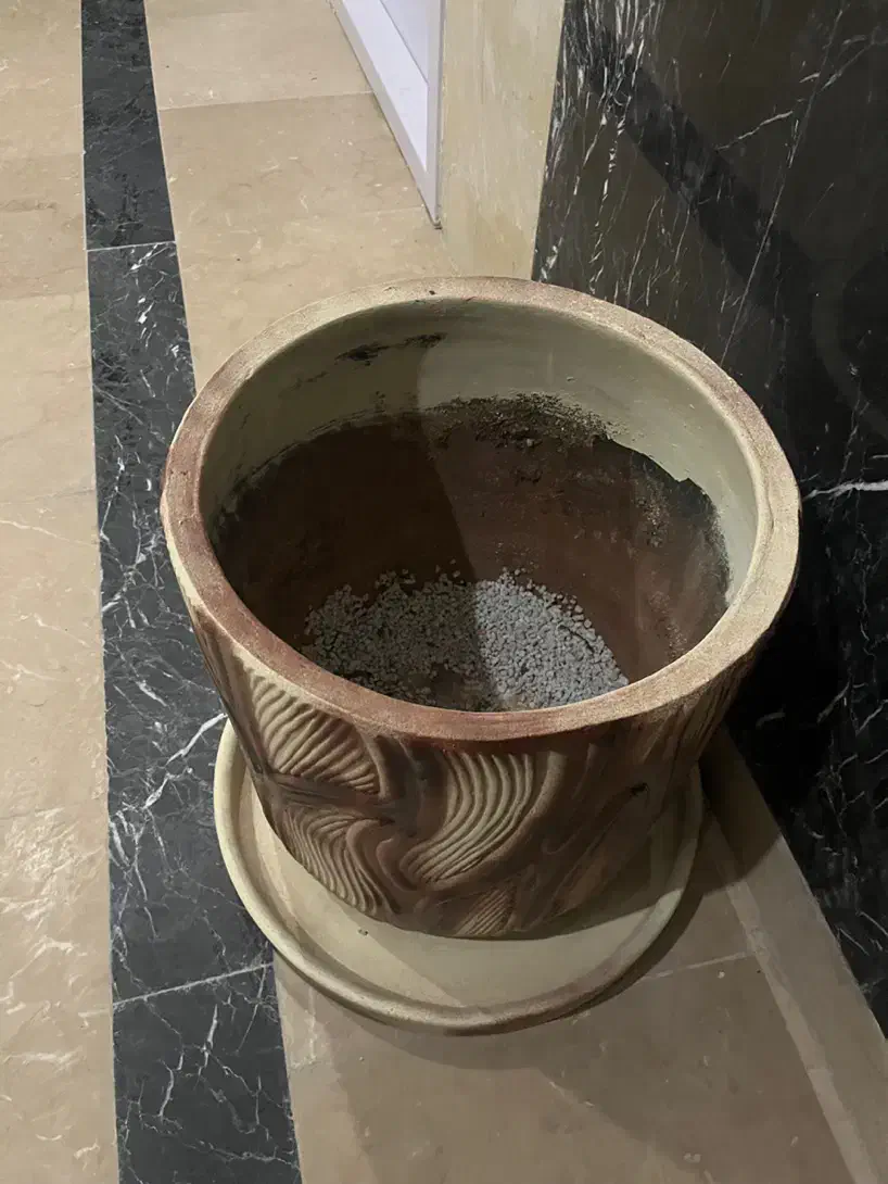 گلدان|گل و گیاه طبیعی|پرند, فاز ۴|دیوار