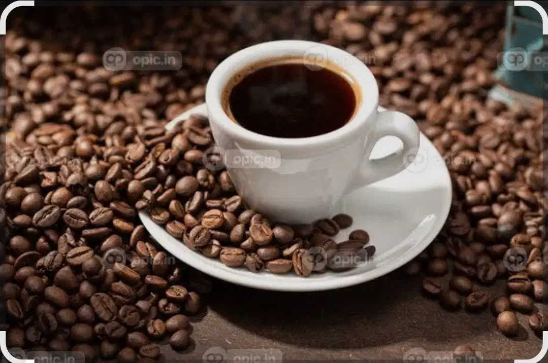 پخش قهوه  و تمام لوازم و اکسسوری  کافه|کافی‌شاپ و رستوران|لاهیجان, شیشه گران|دیوار