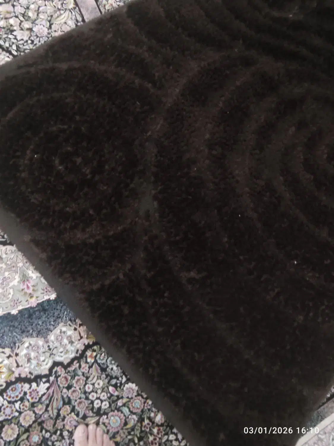 قالیچه و فرش ترکیه ای|فرش|شیراز, کرونی(خاتونک)|دیوار