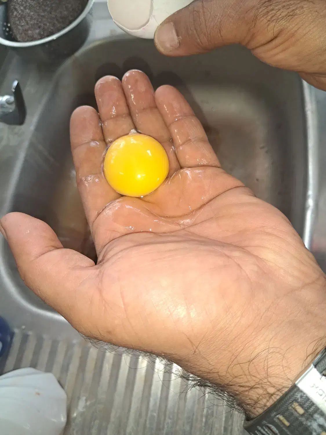 پخش و فروش عمده تخم مرغ|خوردنی و آشامیدنی|تهران, مینابی|دیوار
