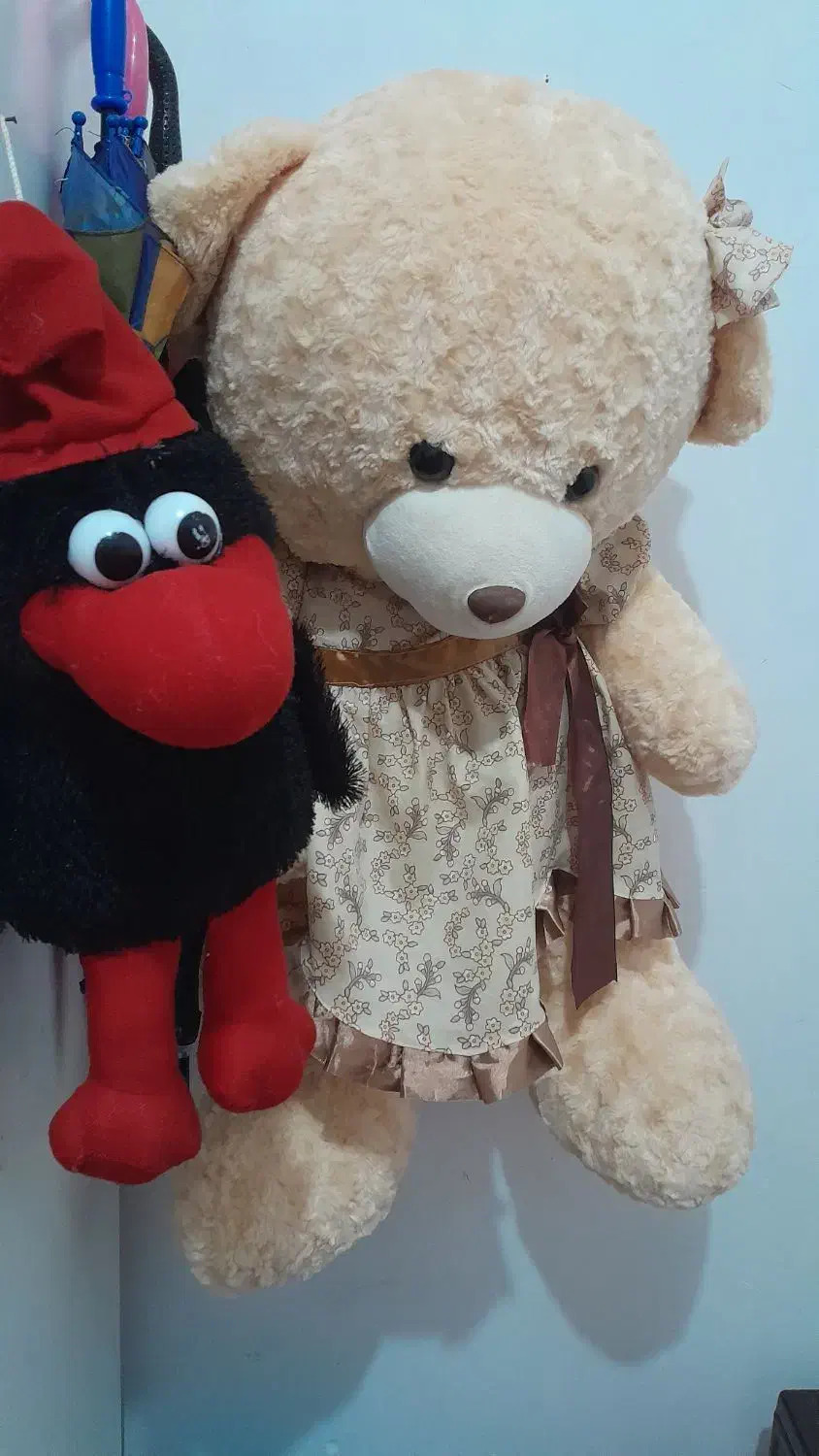 تعدادی عروسک قشنگ|اسباببازی|تولم شهر, |دیوار