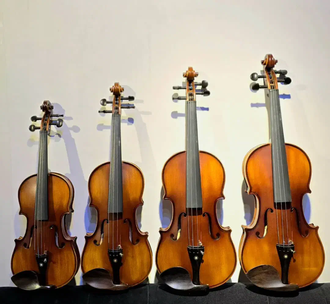 ویولن|ویولن|ساوه, |دیوار