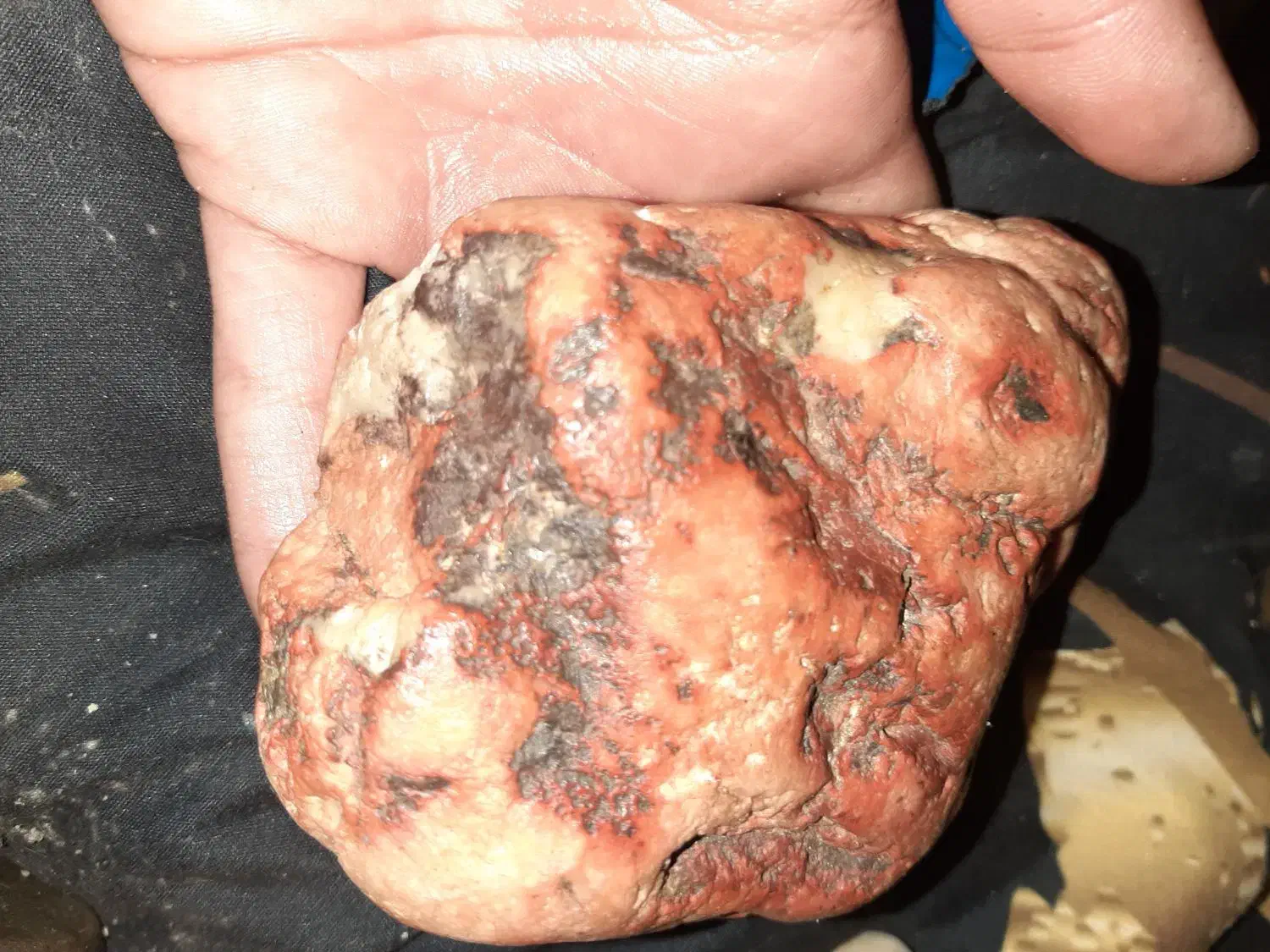 سنگ های قیمتی و نیمه قیمتی|جواهرات|ساری, |دیوار