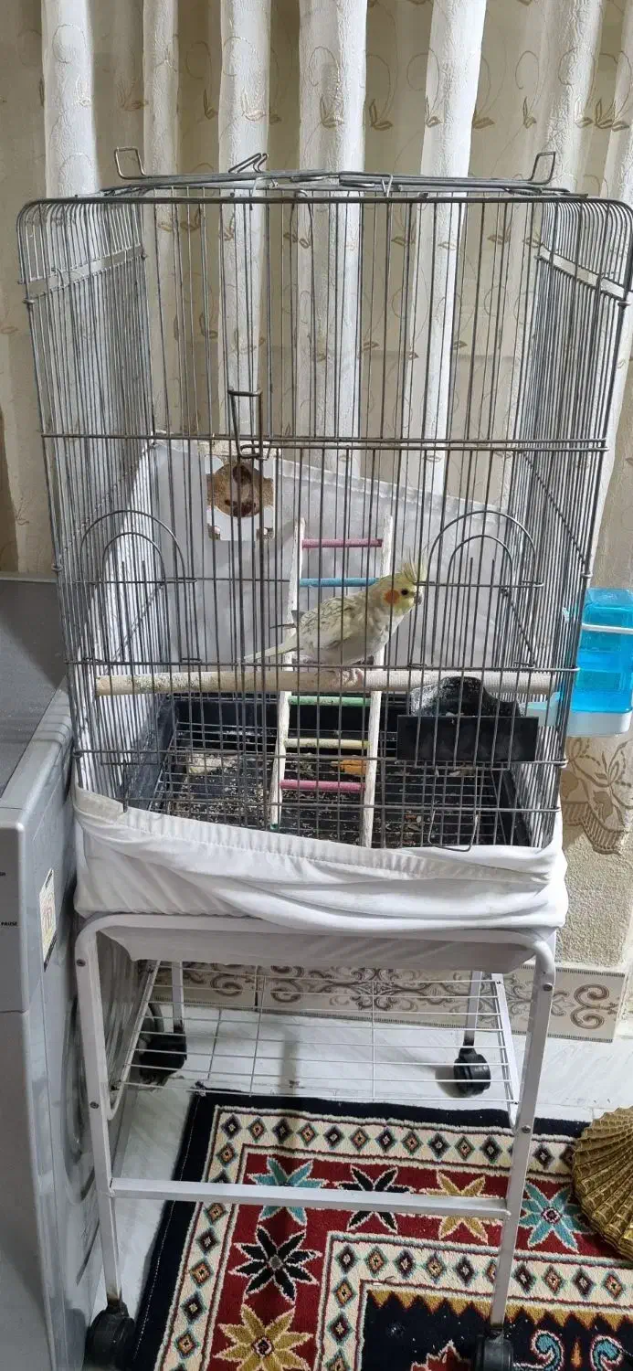 قفس پرنده با پایه|لوازم جانبی حیوانات|تهران, بیسیم|دیوار