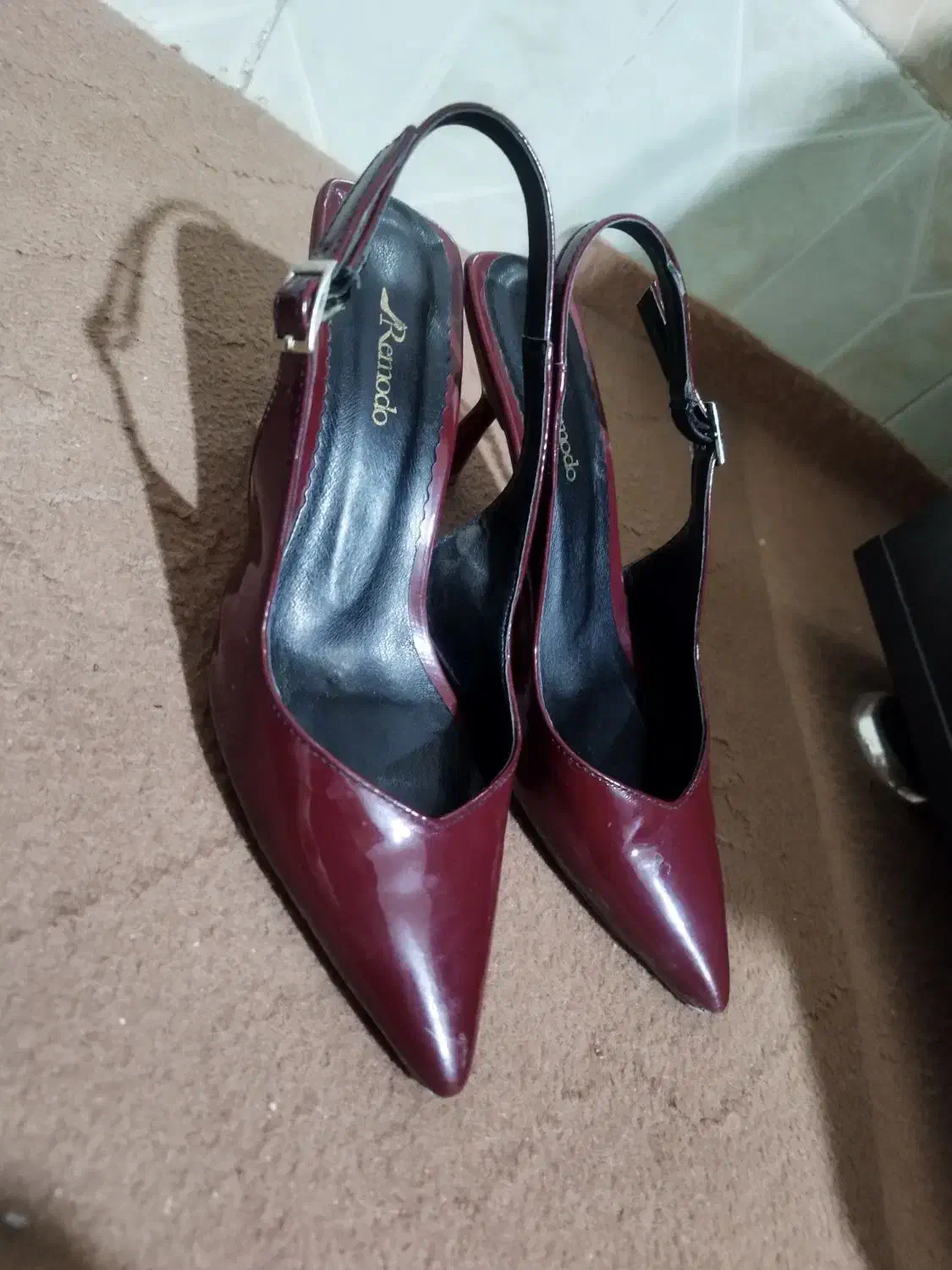 کفش|کیف، کفش، کمربند|تربت‌حیدریه, مظفریه|دیوار