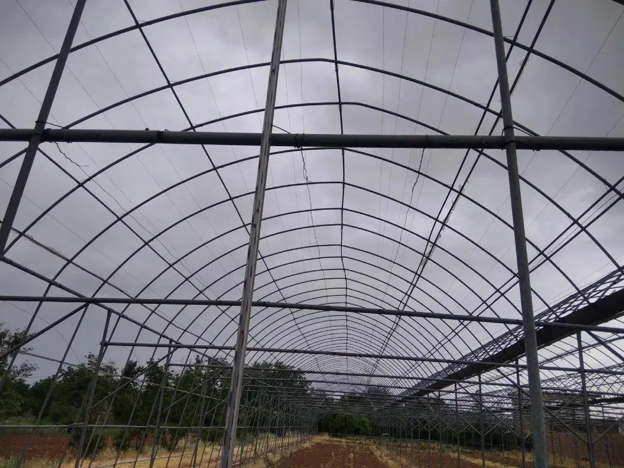 گلخانه|فروش دفتر صنعتی، کشاورزی، تجاری|شهرضا, |دیوار