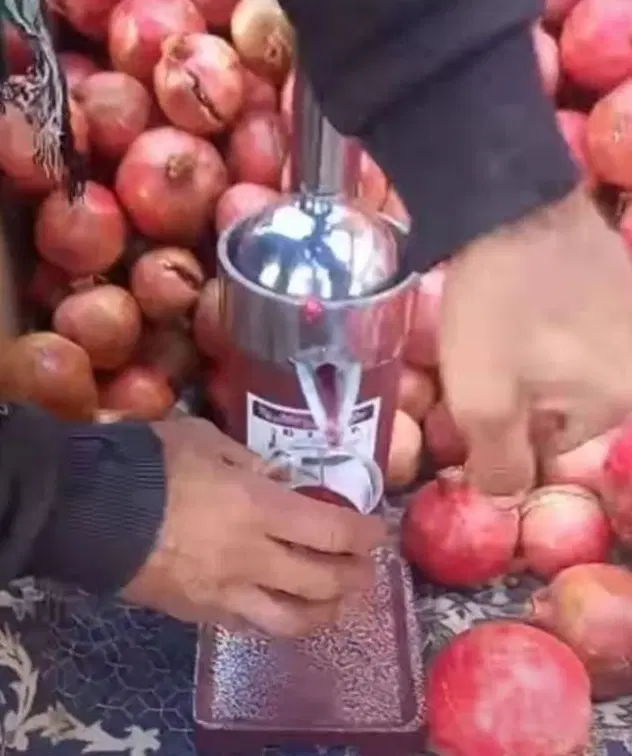 آبمیوه گیری دستی بیتا|آبمیوهگیر و آبمرکباتگیر|تهران, اتابک|دیوار
