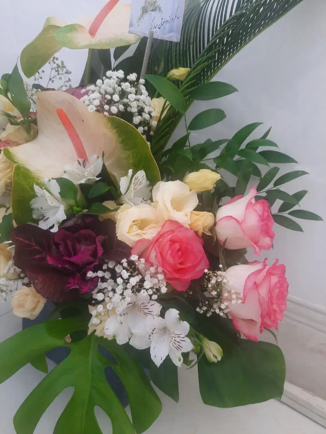 باکس گل طبیعی|گل و گیاه طبیعی|مشهد, خواجه ربیع|دیوار