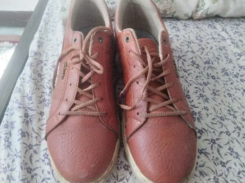 کفش چرم  خیلی خوب زیره قیمت بازار|کیف، کفش، کمربند|کرمان, |دیوار