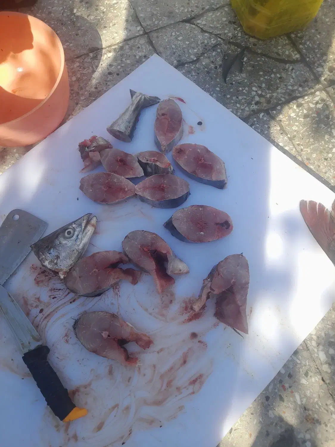 ماهی|ماهی|رامهرمز, |دیوار