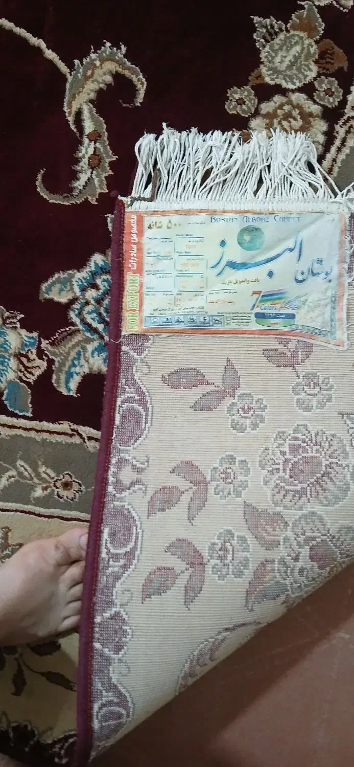 قالی ۱۲متری|فرش|مسجد سلیمان, |دیوار