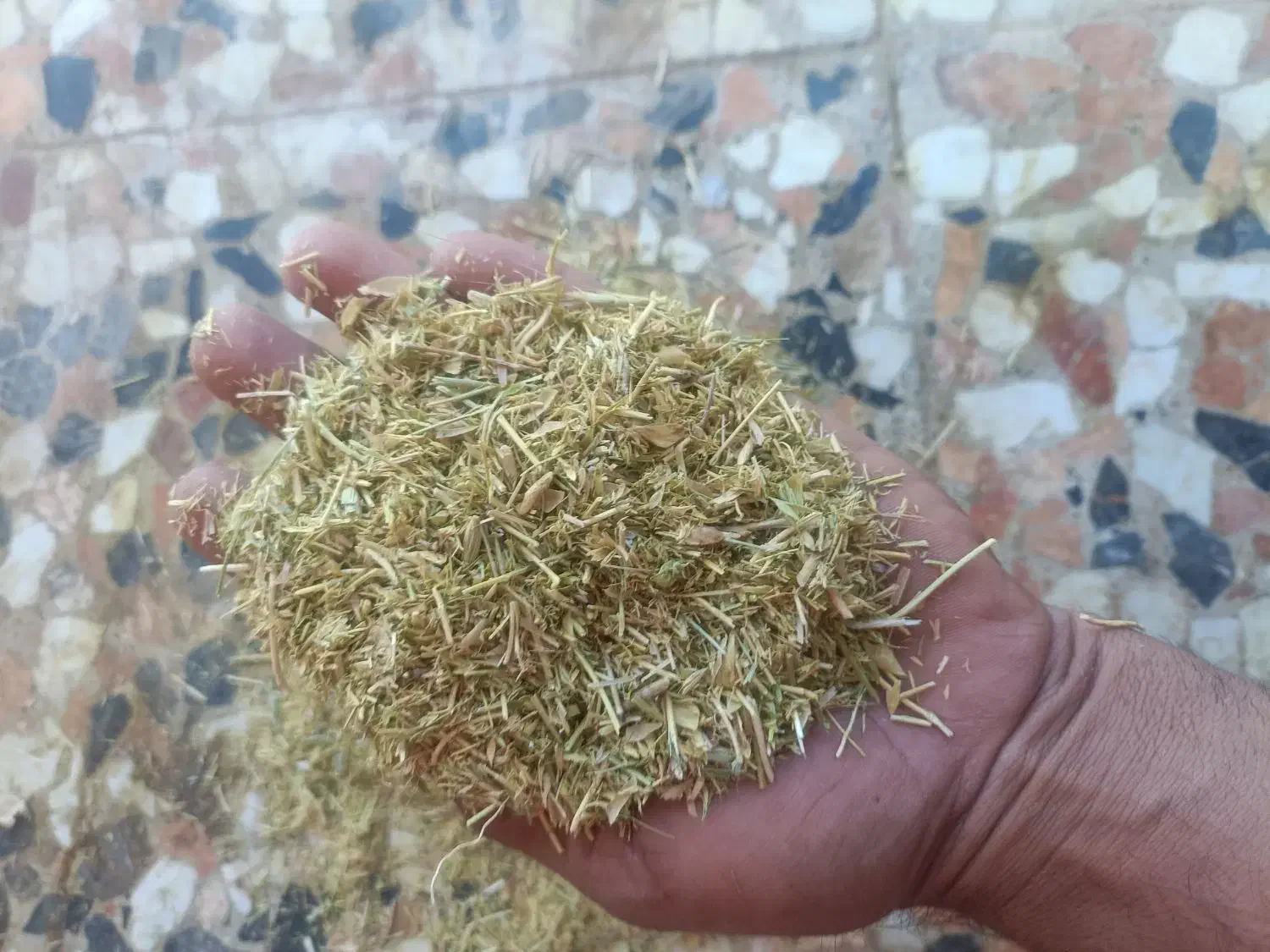 کاه عدس|حیوانات مزرعه|همایجان, |دیوار