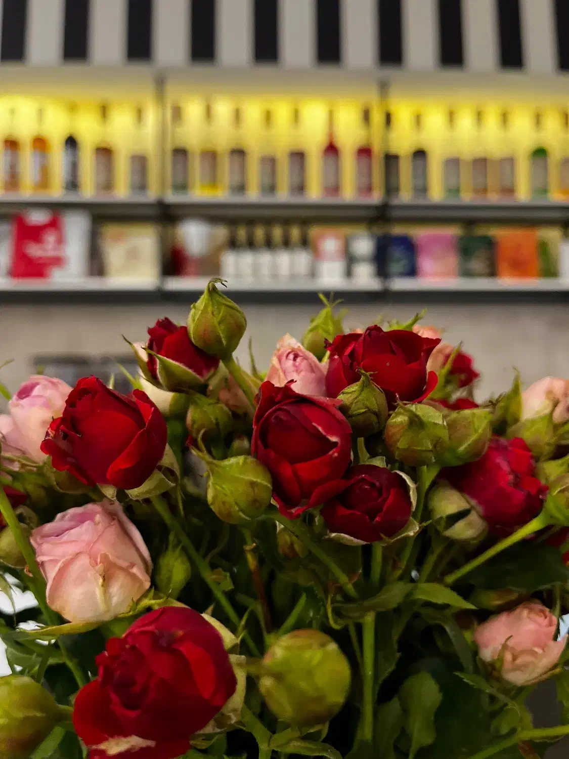 استخدام باریستا در بهترین کافه|استخدام خدمات فروشگاه و رستوران|اردکان, |دیوار