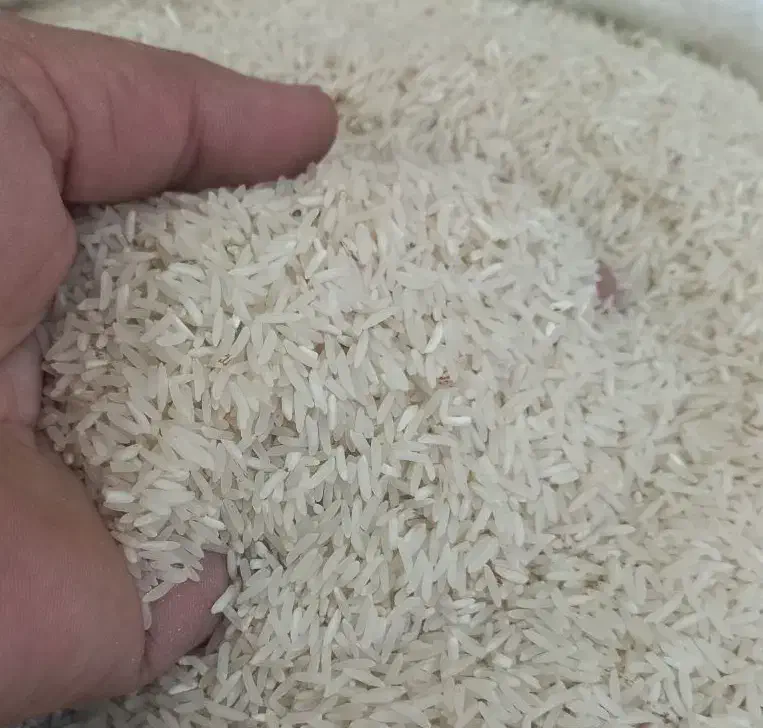 خرید کالا برگ|خوردنی و آشامیدنی|شاهرود, |دیوار