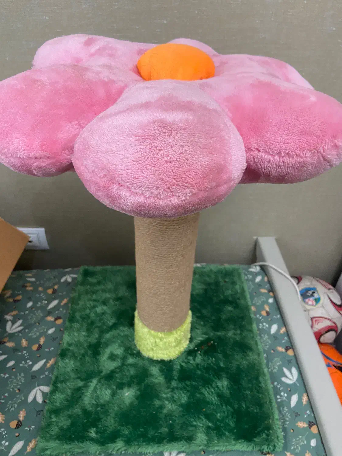 اسکچر گربه|لوازم جانبی حیوانات|قم, باجک یک|دیوار