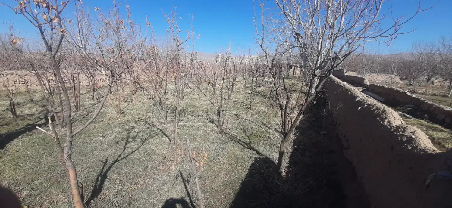 باغ ویلایی|فروش خانه و ویلا|سیدآباد, |دیوار