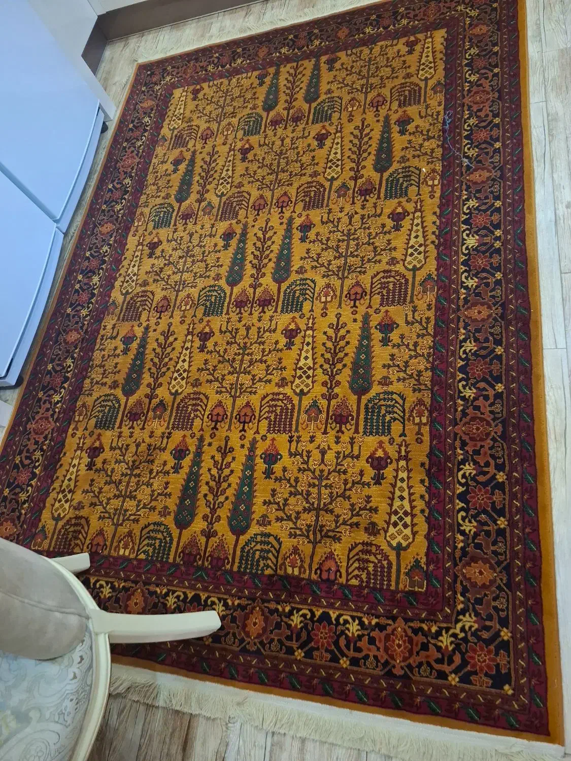 قالی|فرش|گرگان, |دیوار