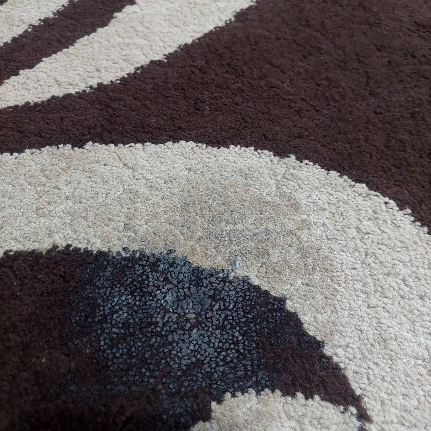 گلیم فرش پنج متری ونیم|گلیم، جاجیم، گبه|تویسرکان, |دیوار