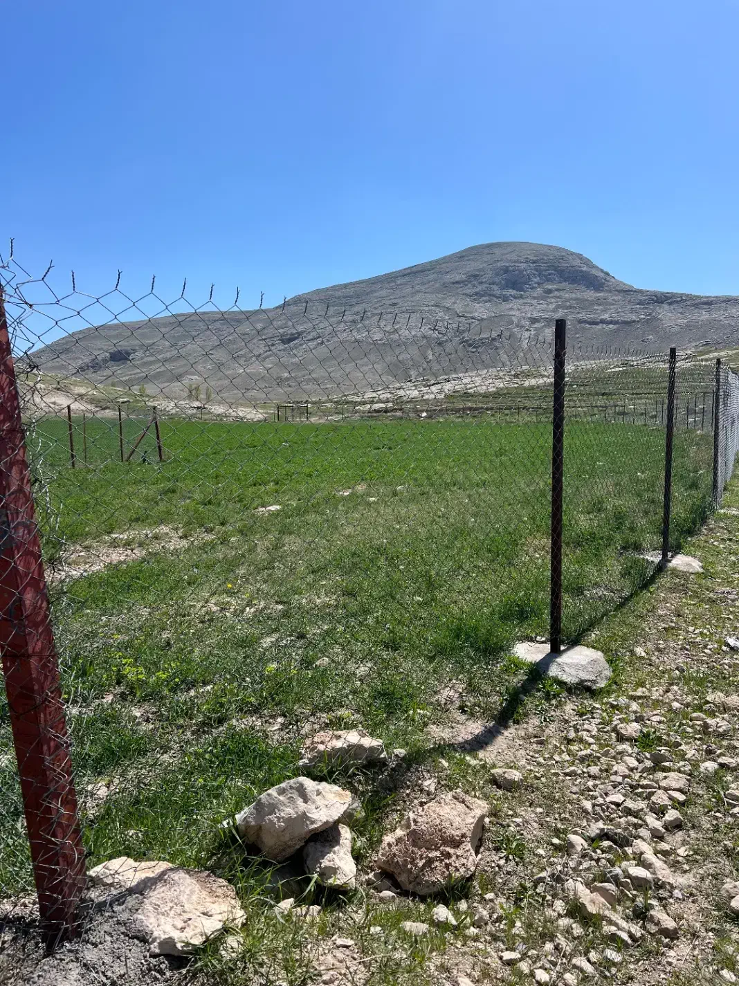 زمین کشاورزی|فروش دفتر صنعتی، کشاورزی، تجاری|ماکو, |دیوار