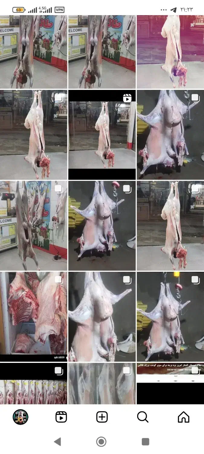 مغز ران گوساله|خوردنی و آشامیدنی|بجنورد, |دیوار