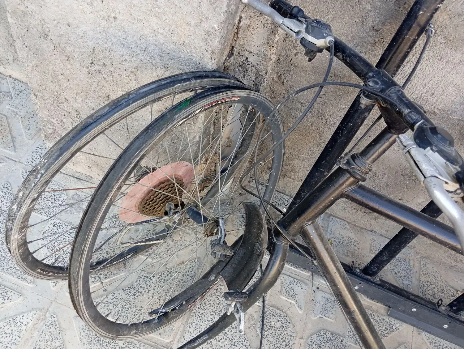 دوچرخه دماوند|دوچرخه، اسکیت، اسکوتر|تربت جام, میان جام|دیوار