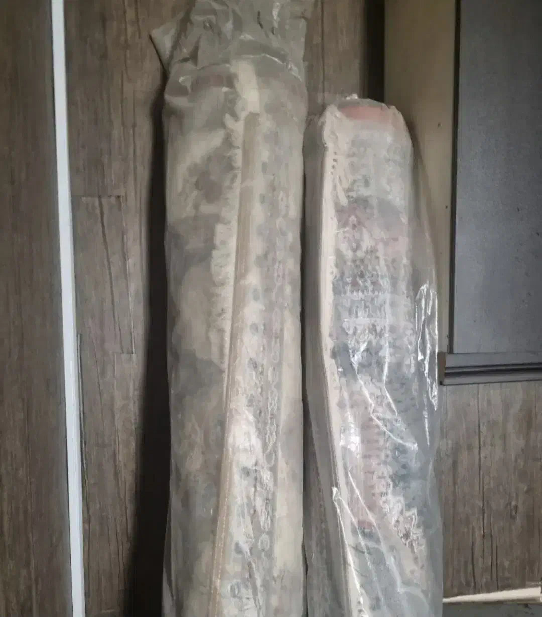 فرش 6 متری|فرش|ری, ولی آباد|دیوار