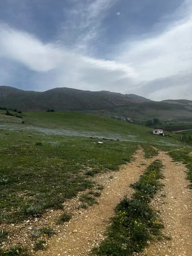 زمین  کشاورزی در منطقه زیبای کوهپس دیلمان|فروش زمین و ملک کلنگی|دیلمان, |دیوار