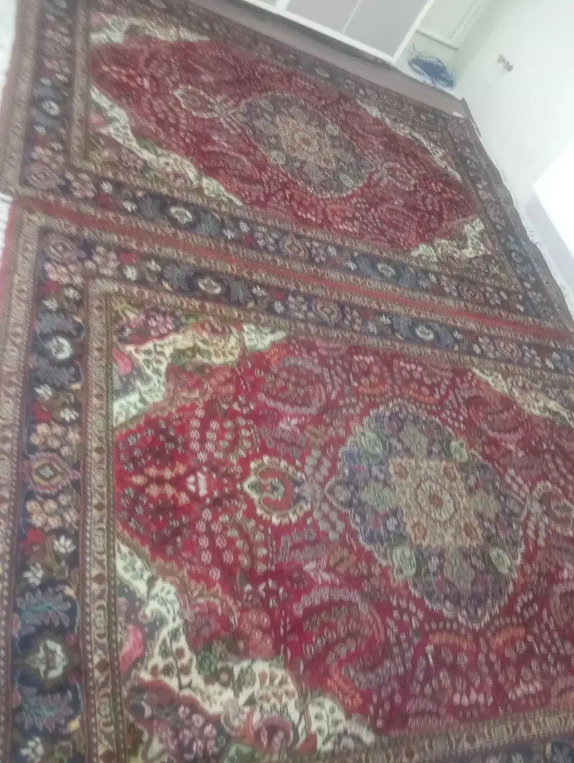 فرش دستباف دوازده متری|فرش|سلماس, |دیوار