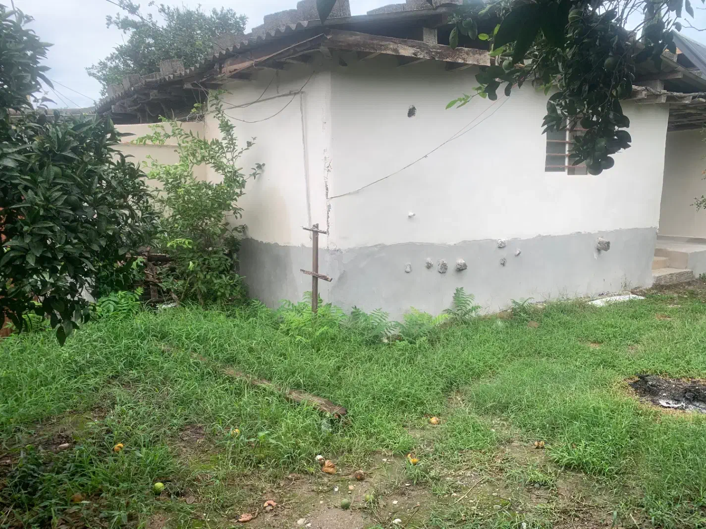 زمین با کاربری تمام مسکونی با بنای قدیمی|فروش زمین و ملک کلنگی|دالخانی, |دیوار