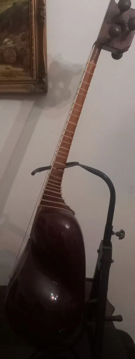 تار خوش صدا علیاری|سازهای سنتی|تهران, بهداشت|دیوار