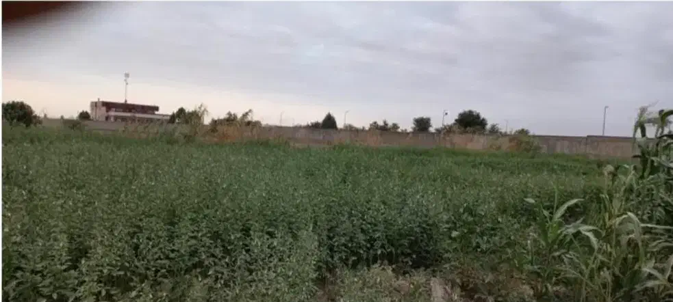 زمین کشاورزی باغی۱کیلومتری ترمینال باآب قابل معاوض|فروش زمین و ملک کلنگی|گرگان, |دیوار