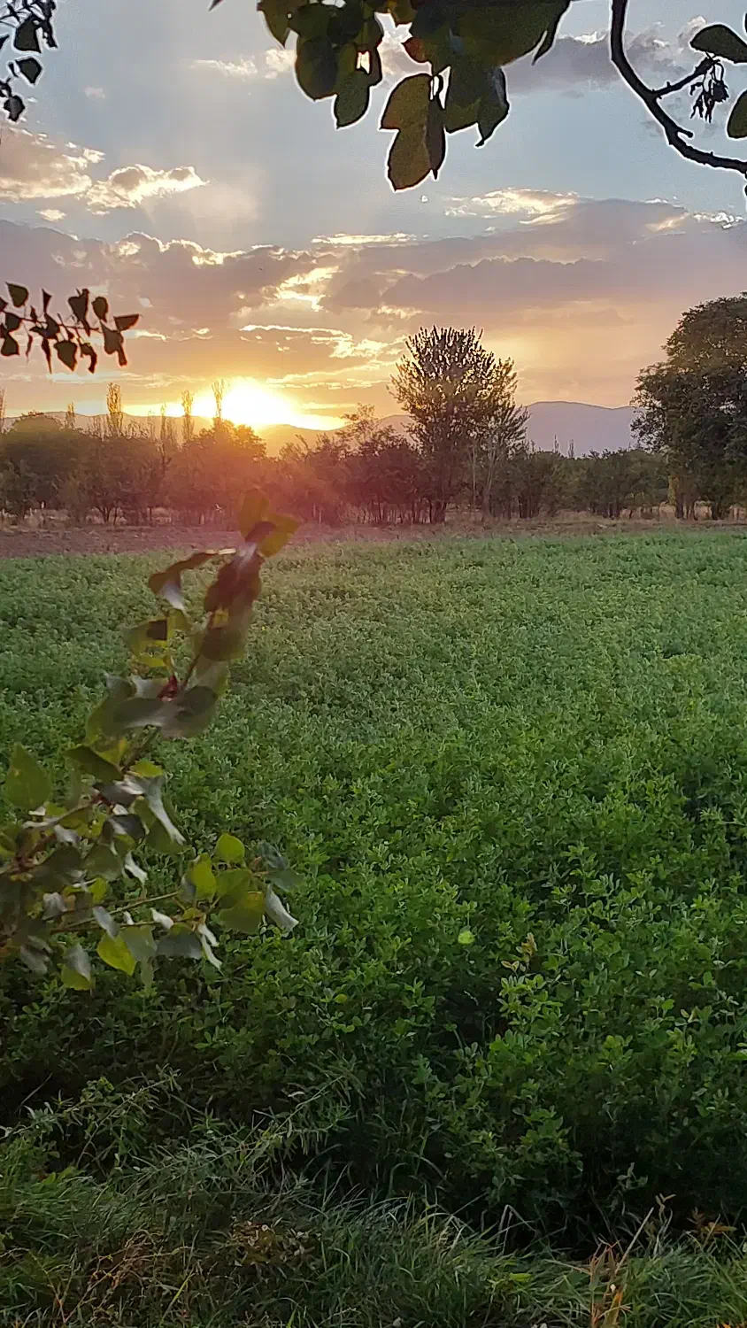 زمین زراعی خوش موقعیت|فروش دفتر صنعتی، کشاورزی، تجاری|خرمدره, |دیوار