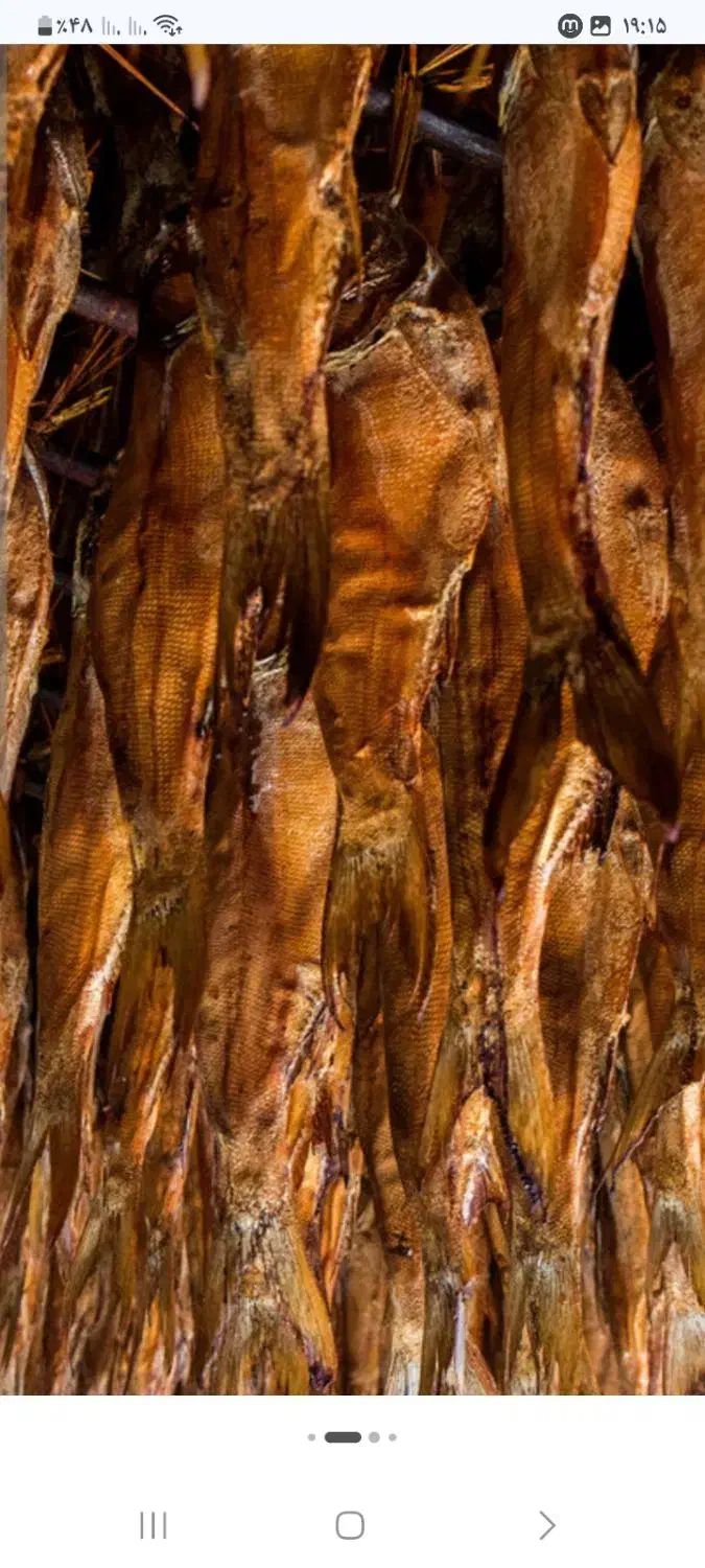 انواع ماهی دودی شمال|خوردنی و آشامیدنی|خلخال, |دیوار