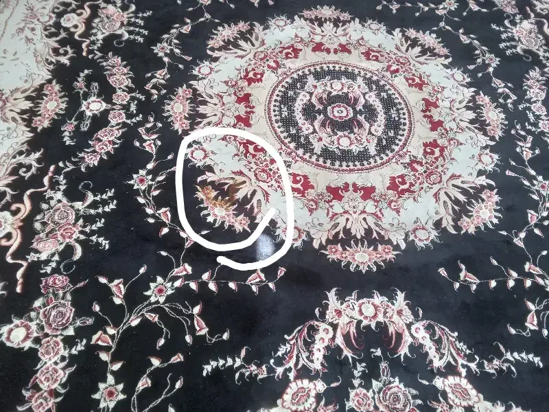 فرش ۱۲ متری|فرش|رضویه, |دیوار