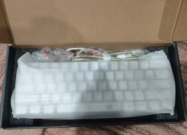 دوستان ما یک کیبورد میکانیکال داریم|قطعات و لوازم جانبی رایانه|قم, حنیف نژاد|دیوار