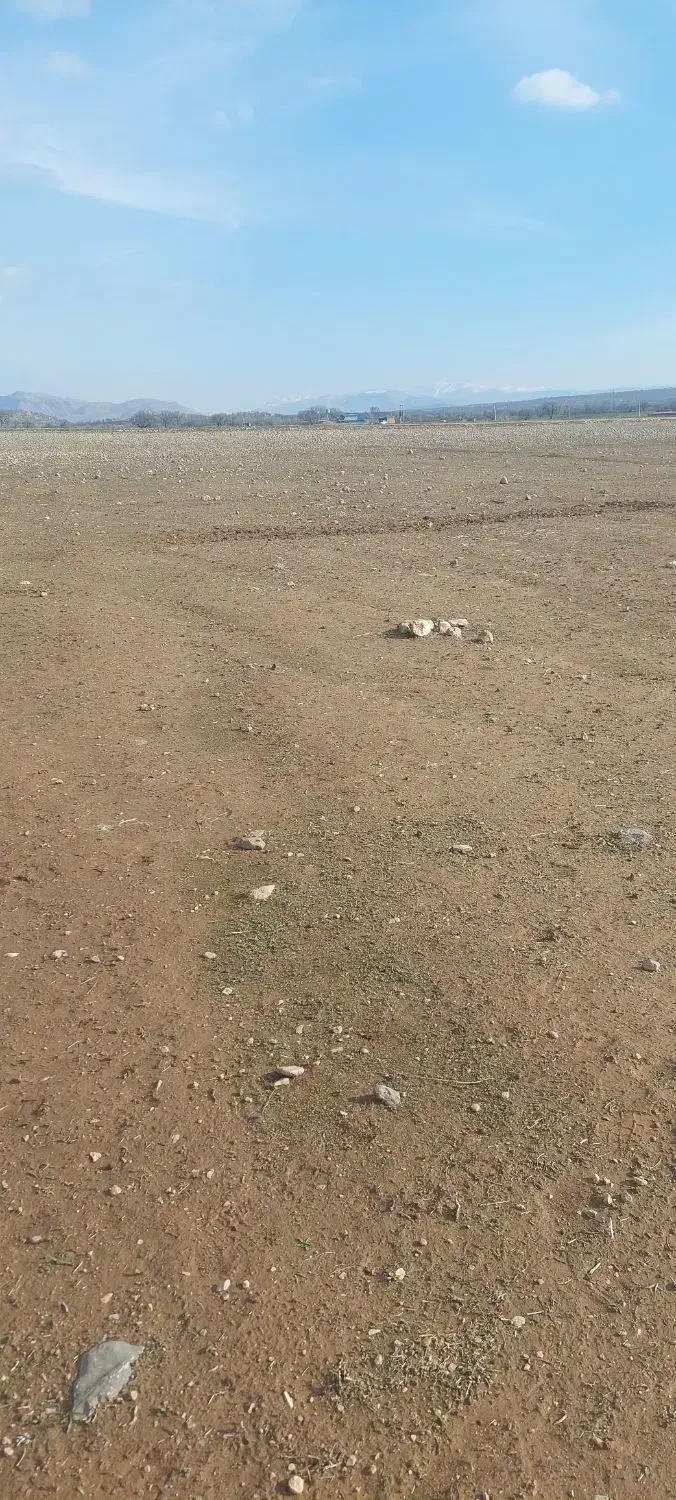 زمین|فروش زمین و ملک کلنگی|چگنی, |دیوار