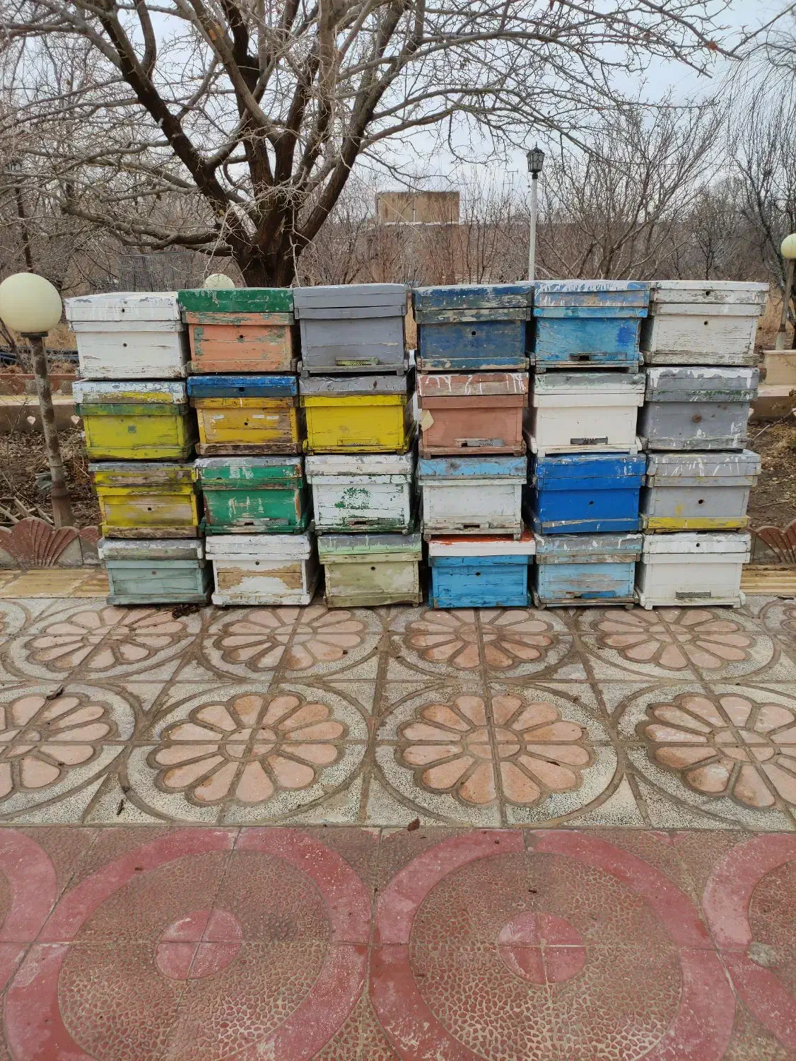 کندو خالی|لوازم جانبی حیوانات|بوئین زهرا, |دیوار