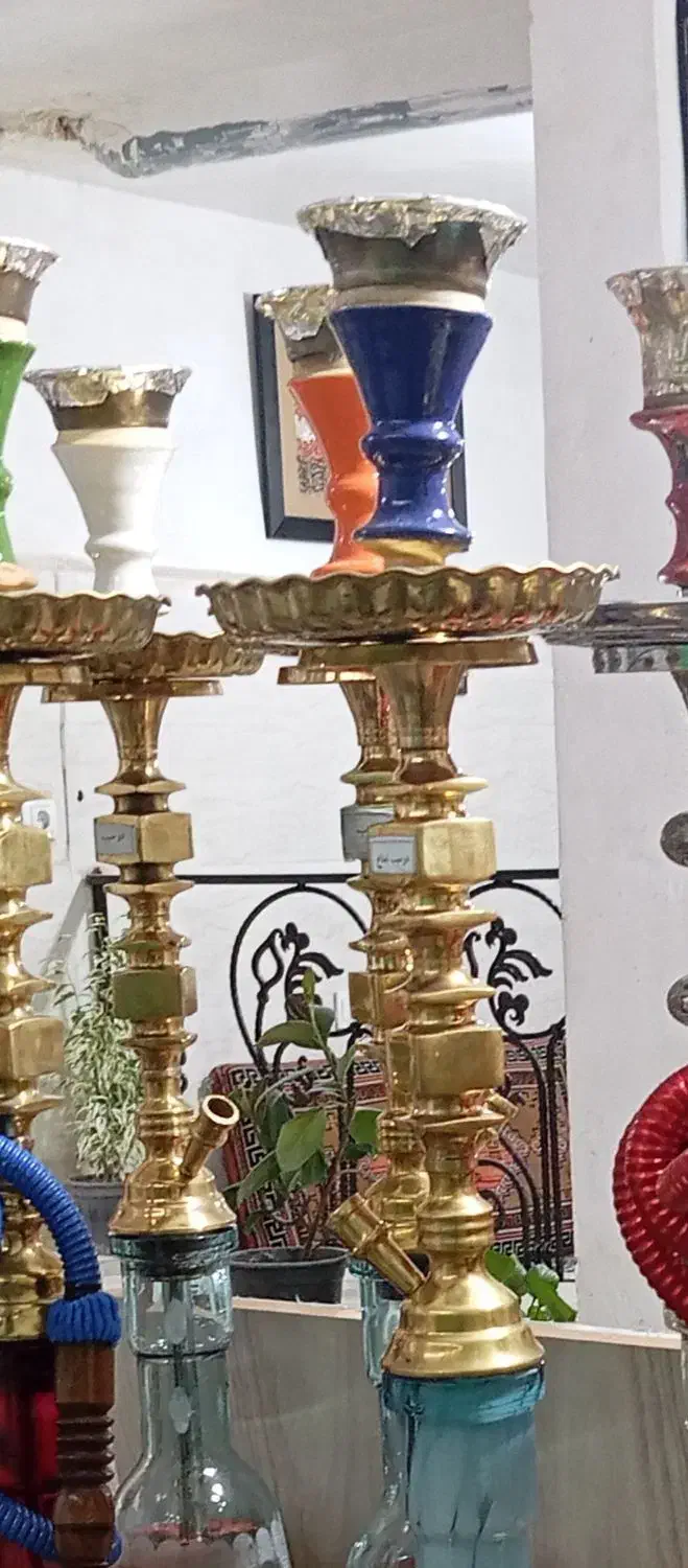 تنه قلیون فروشی عالی طعم دار|کلکسیون و سرگرمی|پیشوا, |دیوار