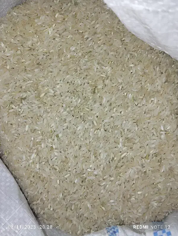 برنج چمپا|خوردنی و آشامیدنی|یاسوج, |دیوار